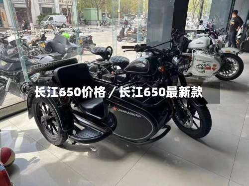 长江650价格／长江650最新款-第1张图片