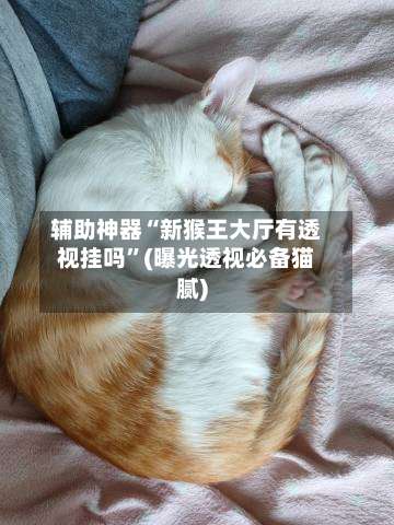 辅助神器“新猴王大厅有透视挂吗”(曝光透视必备猫腻)-第3张图片