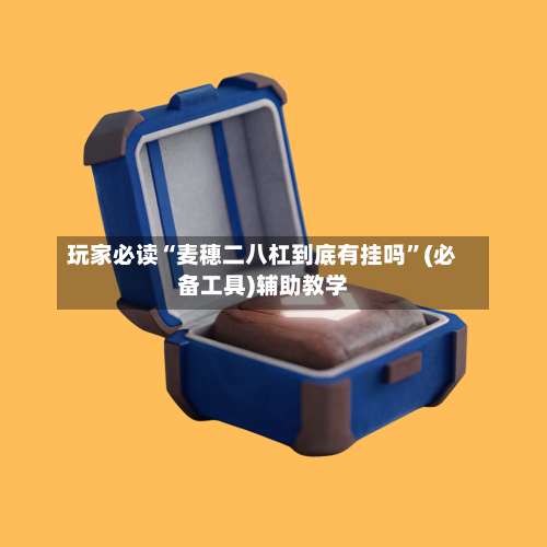 玩家必读“麦穗二八杠到底有挂吗”(必备工具)辅助教学-第1张图片