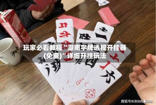 玩家必看教程“湖南字牌透视开挂器(免费)”详细开挂玩法-第2张图片