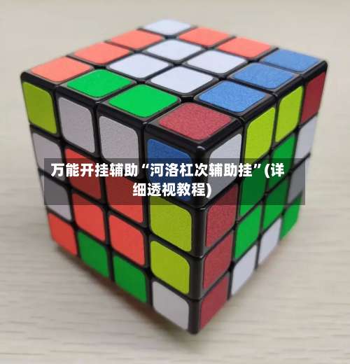 万能开挂辅助“河洛杠次辅助挂”(详细透视教程)-第2张图片