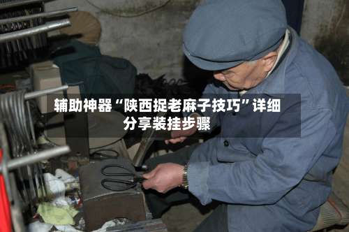 辅助神器“陕西捉老麻子技巧”详细分享装挂步骤-第2张图片