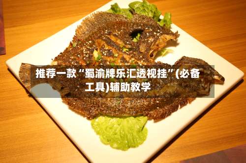 推荐一款“蜀渝牌乐汇透视挂”(必备工具)辅助教学-第2张图片