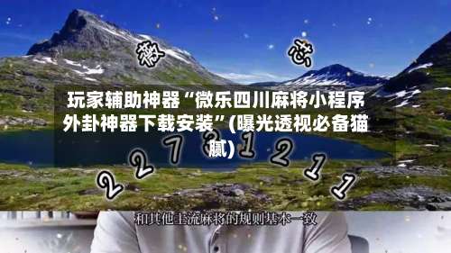 玩家辅助神器“微乐四川麻将小程序外卦神器下载安装”(曝光透视必备猫腻)-第3张图片