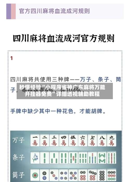 秒懂经验“小程序雀神广东麻将万能开挂器免费”详细透视辅助教程-第1张图片