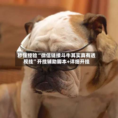 秒懂经验“微信链接斗牛其实真有透视挂”开挂辅助脚本+详细开挂-第1张图片