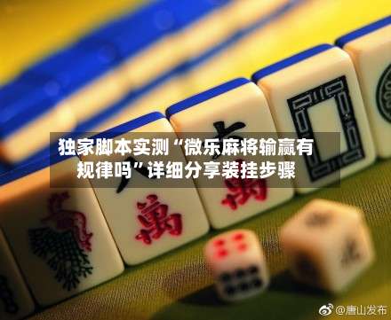 独家脚本实测“微乐麻将输赢有规律吗”详细分享装挂步骤-第1张图片