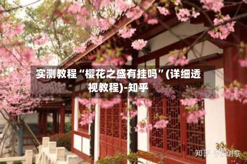 实测教程“樱花之盛有挂吗”(详细透视教程)-知乎-第1张图片