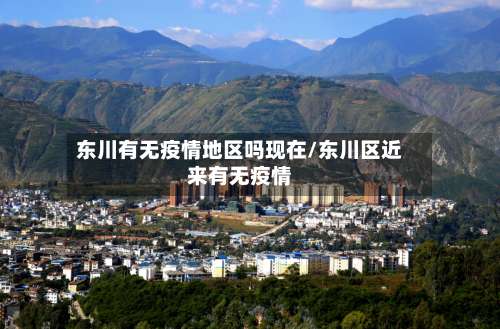 东川有无疫情地区吗现在/东川区近来有无疫情-第2张图片