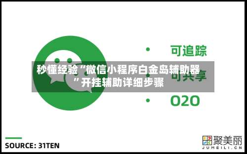 秒懂经验“微信小程序白金岛辅助器	”开挂辅助详细步骤-第1张图片