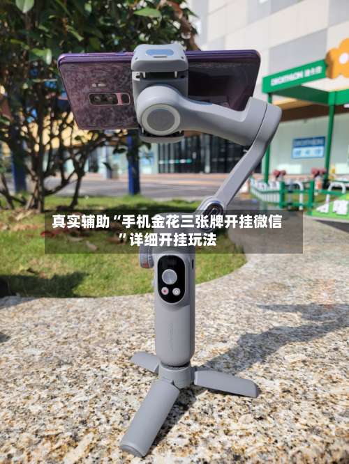 真实辅助“手机金花三张牌开挂微信”详细开挂玩法-第1张图片