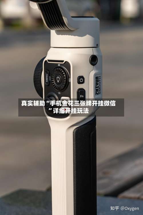 真实辅助“手机金花三张牌开挂微信	”详细开挂玩法-第2张图片