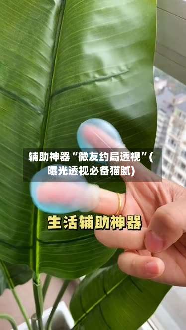 辅助神器“微友约局透视	”(曝光透视必备猫腻)-第1张图片