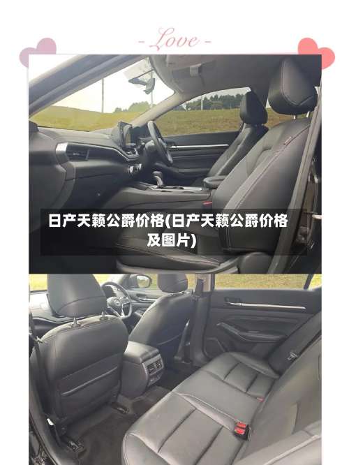 日产天籁公爵价格(日产天籁公爵价格及图片)-第3张图片