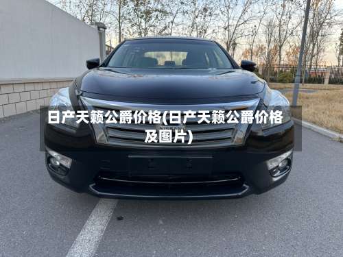 日产天籁公爵价格(日产天籁公爵价格及图片)-第2张图片