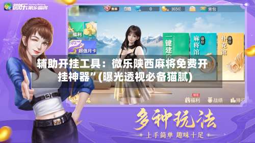 辅助开挂工具：微乐陕西麻将免费开挂神器”(曝光透视必备猫腻)-第2张图片