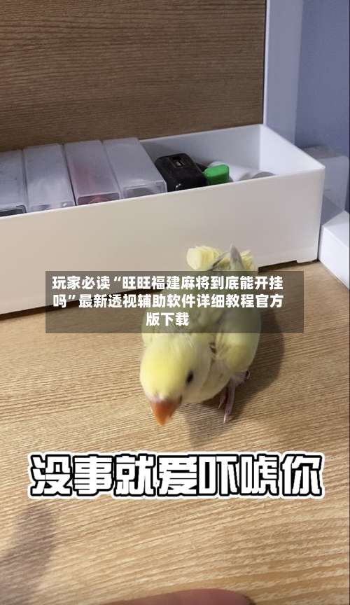 玩家必读“旺旺福建麻将到底能开挂吗	”最新透视辅助软件详细教程官方版下载-第1张图片