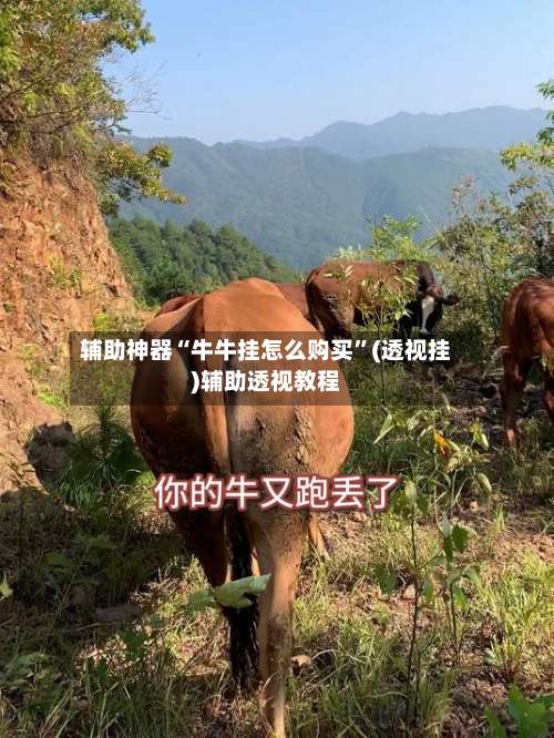 辅助神器“牛牛挂怎么购买	”(透视挂)辅助透视教程-第2张图片