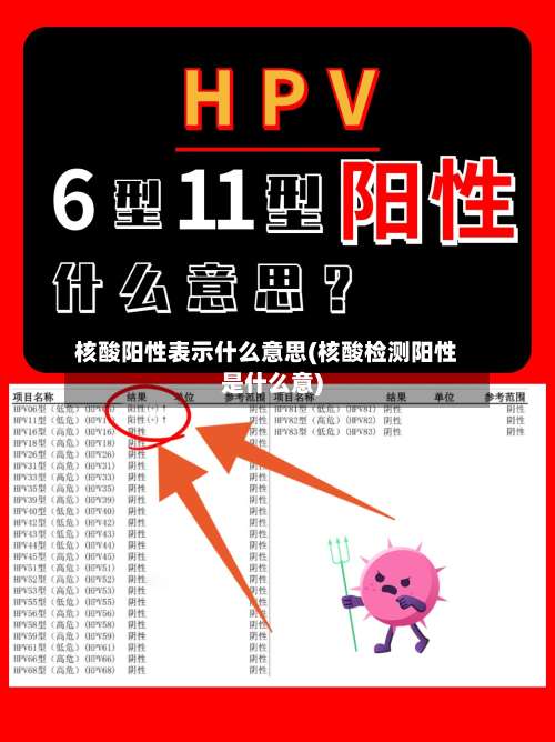 核酸阳性表示什么意思(核酸检测阳性是什么意)-第2张图片