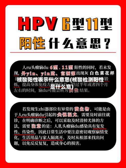 核酸阳性表示什么意思(核酸检测阳性是什么意)-第1张图片