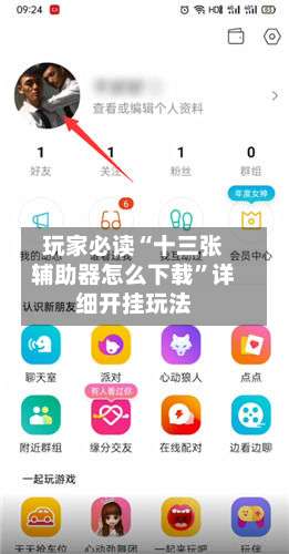玩家必读“十三张辅助器怎么下载”详细开挂玩法-第1张图片