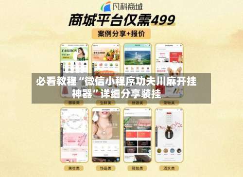 必看教程“微信小程序功夫川麻开挂神器”详细分享装挂-第2张图片