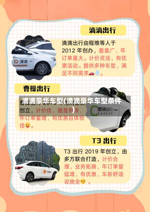 滴滴豪华车型(滴滴豪华车型条件)-第3张图片