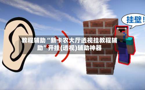 教程辅助“新卡农大厅透视挂教程辅助”开挂(透视)辅助神器-第2张图片
