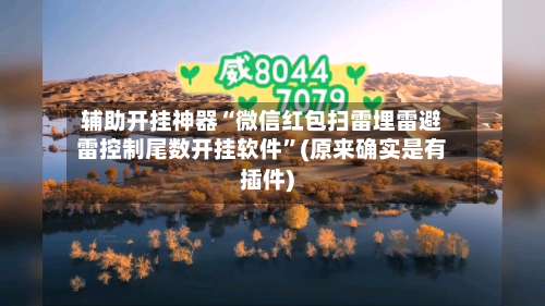 辅助开挂神器“微信红包扫雷埋雷避雷控制尾数开挂软件”(原来确实是有插件)-第1张图片