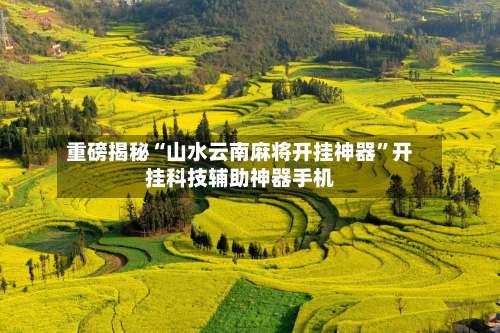 重磅揭秘“山水云南麻将开挂神器”开挂科技辅助神器手机-第2张图片