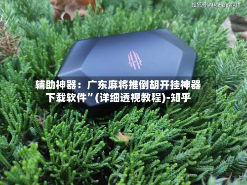 辅助神器：广东麻将推倒胡开挂神器下载软件”(详细透视教程)-知乎-第1张图片