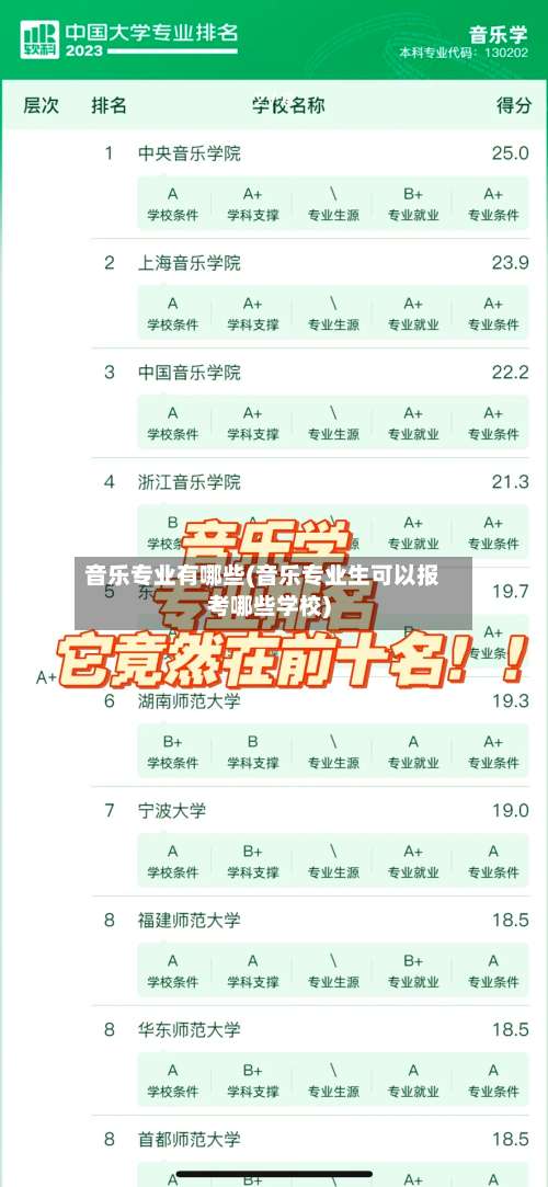 音乐专业有哪些(音乐专业生可以报考哪些学校)-第2张图片