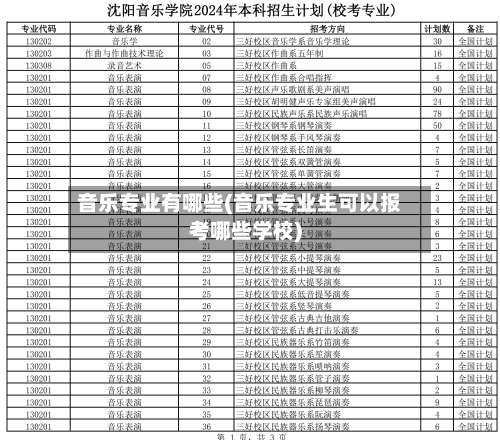音乐专业有哪些(音乐专业生可以报考哪些学校)-第3张图片