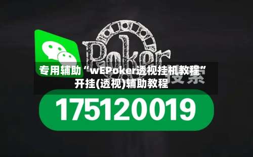 专用辅助“wEPoker透视挂机教程”开挂(透视)辅助教程-第3张图片