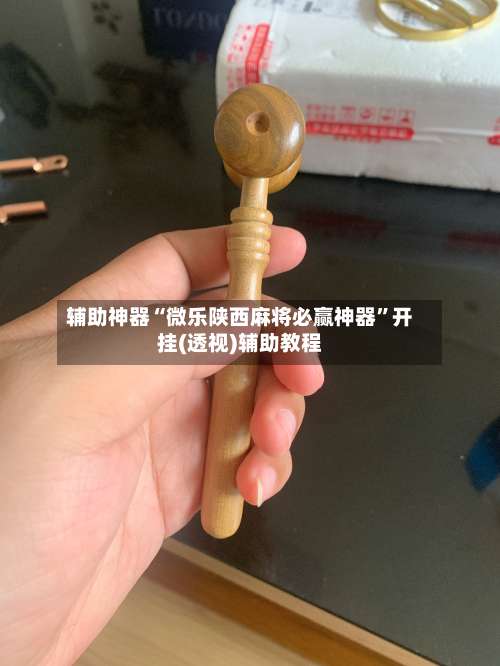 辅助神器“微乐陕西麻将必赢神器”开挂(透视)辅助教程-第1张图片