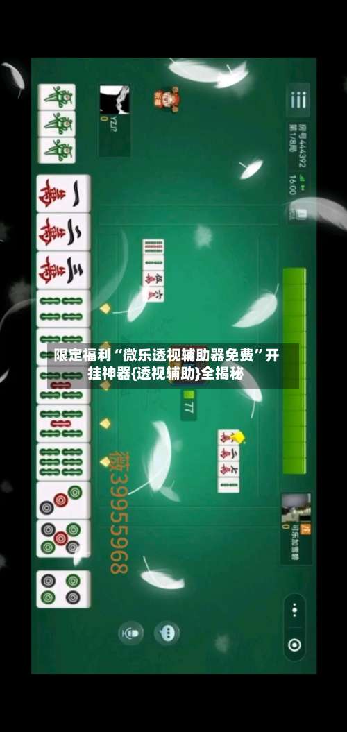 限定福利“微乐透视辅助器免费”开挂神器{透视辅助}全揭秘-第2张图片