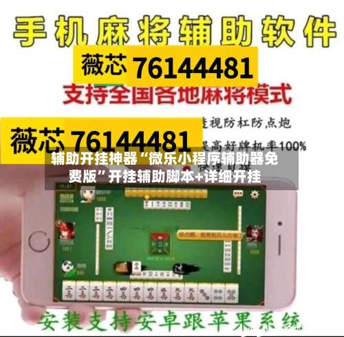 辅助开挂神器“微乐小程序辅助器免费版	”开挂辅助脚本+详细开挂-第2张图片