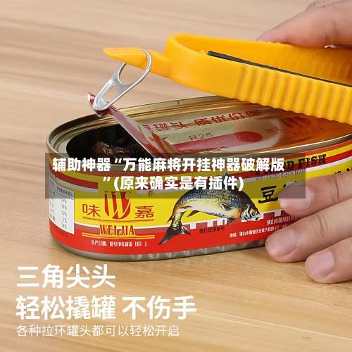 辅助神器“万能麻将开挂神器破解版	”(原来确实是有插件)-第1张图片