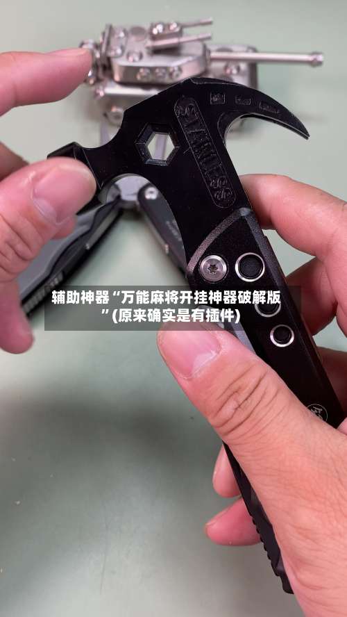 辅助神器“万能麻将开挂神器破解版	”(原来确实是有插件)-第2张图片