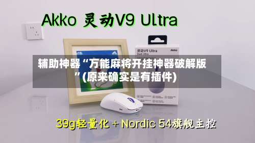 辅助神器“万能麻将开挂神器破解版	”(原来确实是有插件)-第3张图片