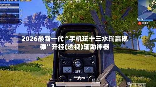 2026最新一代“手机玩十三水输赢规律”开挂(透视)辅助神器-第1张图片