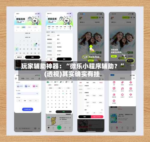 玩家辅助神器：“微乐小程序辅助？	”(透视)其实确实有挂-第2张图片