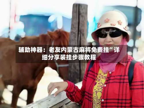 辅助神器：老友内蒙古麻将免费挂”详细分享装挂步骤教程-第2张图片