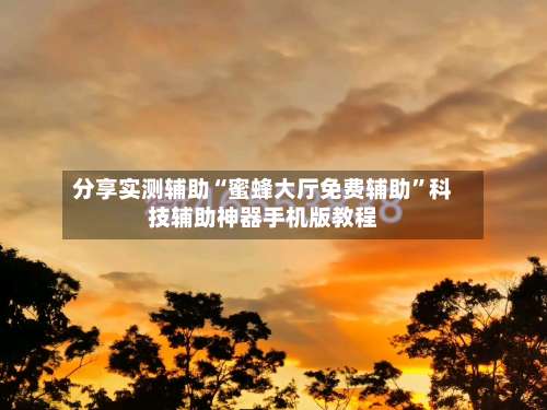 分享实测辅助“蜜蜂大厅免费辅助”科技辅助神器手机版教程-第1张图片