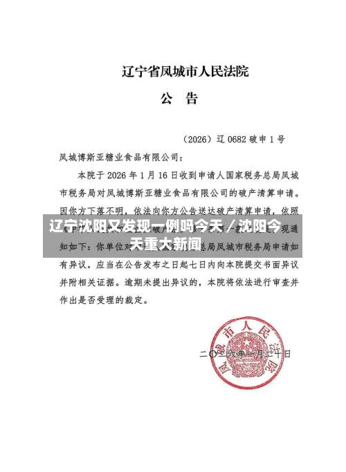 辽宁沈阳又发现一例吗今天／沈阳今天重大新闻-第2张图片
