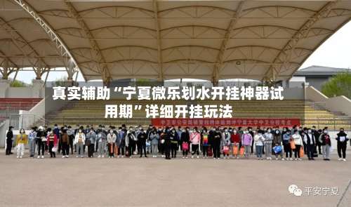 真实辅助“宁夏微乐划水开挂神器试用期”详细开挂玩法-第1张图片