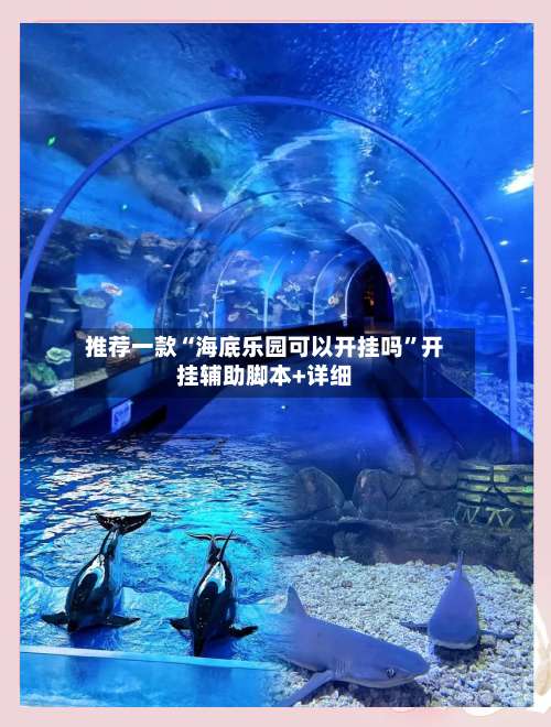 推荐一款“海底乐园可以开挂吗”开挂辅助脚本+详细-第2张图片