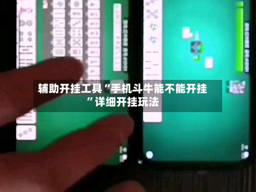 辅助开挂工具“手机斗牛能不能开挂”详细开挂玩法-第3张图片