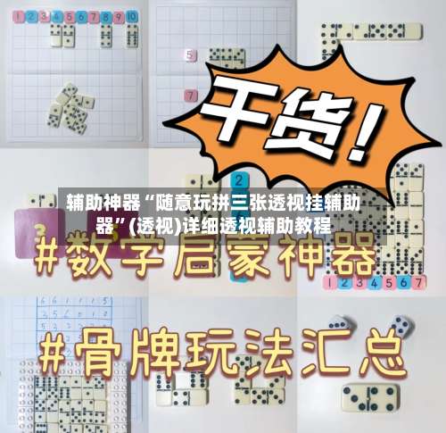 辅助神器“随意玩拼三张透视挂辅助器	”(透视)详细透视辅助教程-第1张图片