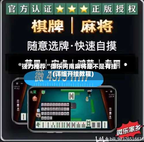 强力推荐“微乐河南麻将是不是有挂”(详细开挂教程)-第3张图片
